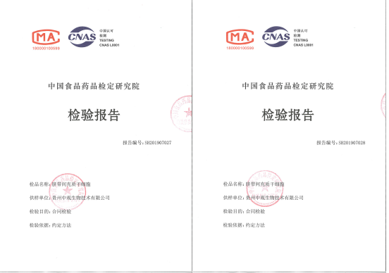 無(wú)標題
